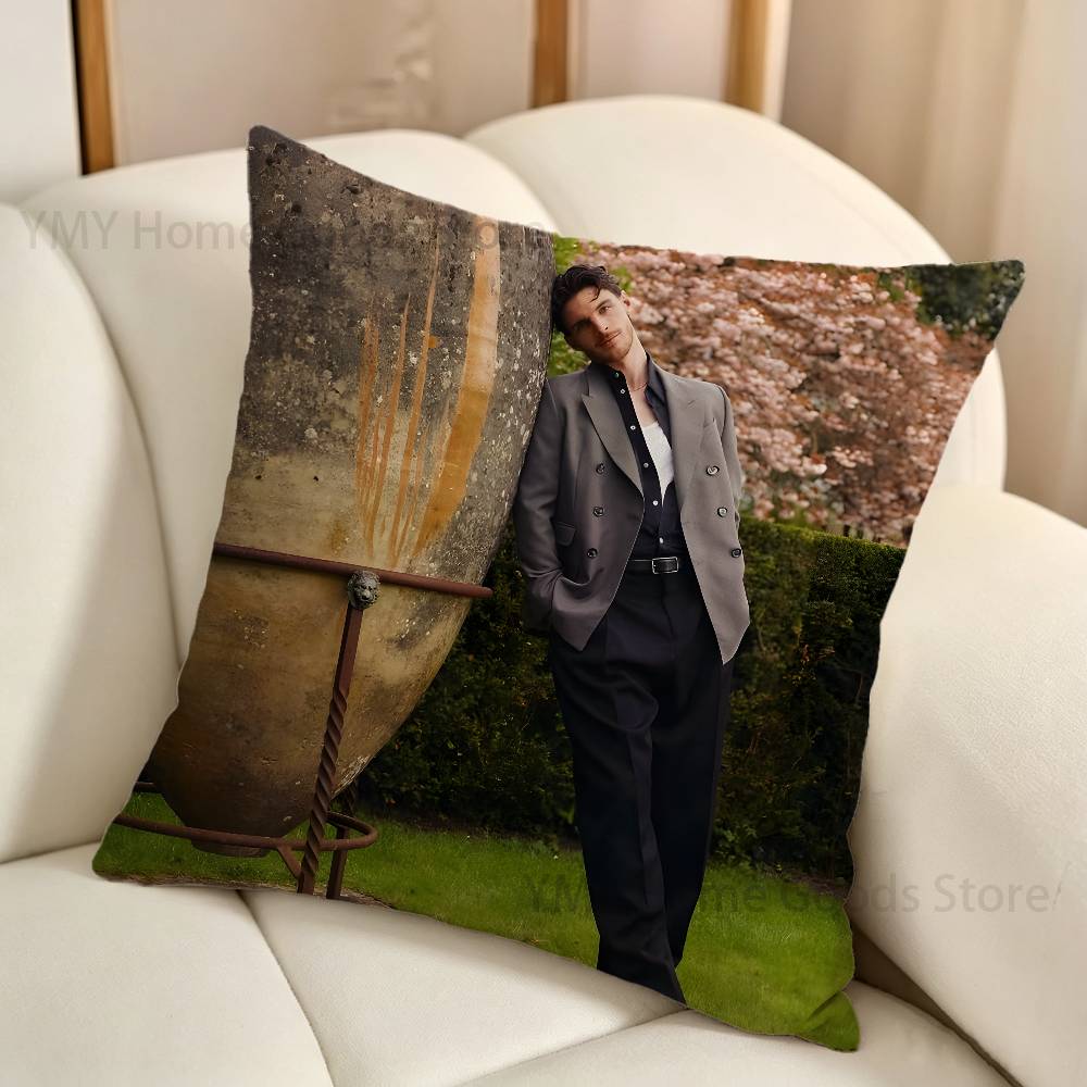 Наволочка с изображением Декла – обзор и цена Home Textiles Ireland